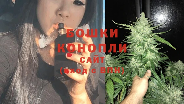 apvp Богданович
