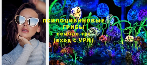 apvp Богданович