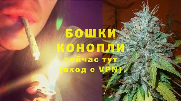 apvp Богданович