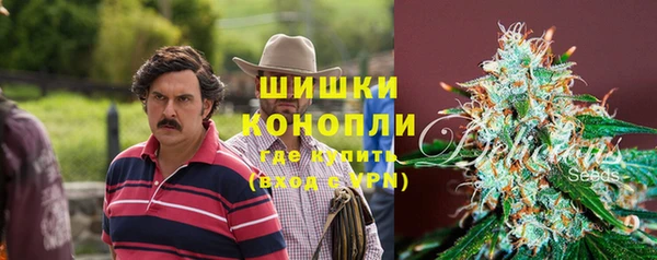 apvp Богданович