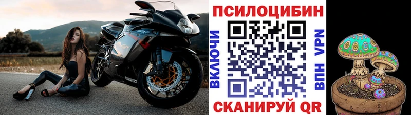 это какой сайт Старица Псилоцибиновые грибы MAGIC MUSHROOMS где найти blacksprut зеркало